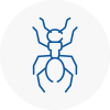 Ant Removals In Sankey