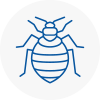 Bed Bug Extermination In Sankey