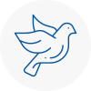 Bird Prevention Sankey
