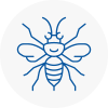 Sankey Hornet Nest Removals