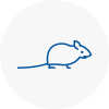 Mice Exterminators In Sankey