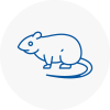 Rat Control Sankey