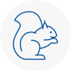 Sankey Rodent Removals